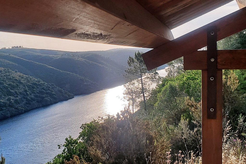 Vista