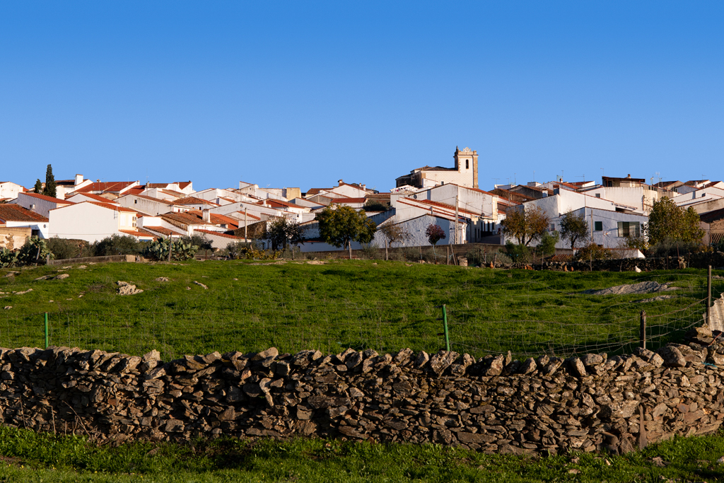 Vista
