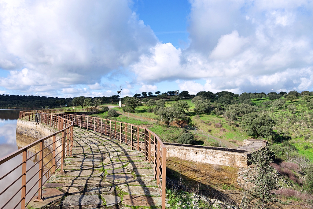 Vista