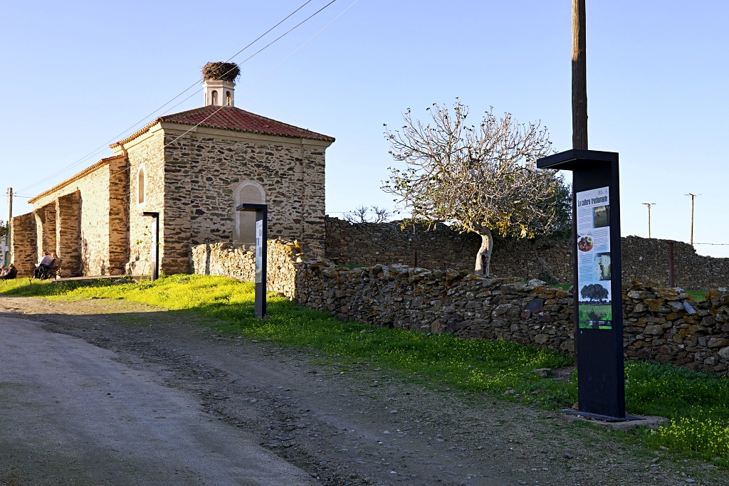 Vista