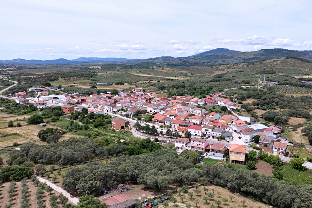 Cerezo
