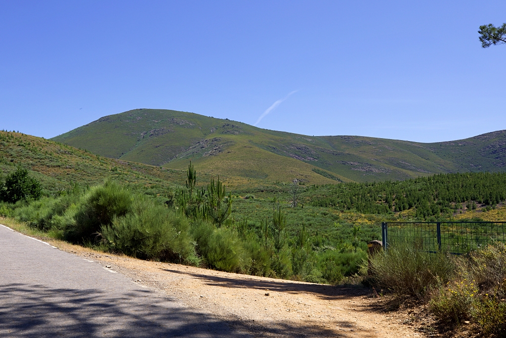 Vista