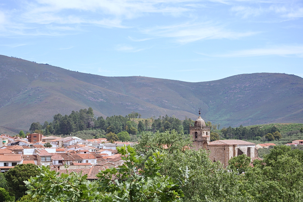 Vista