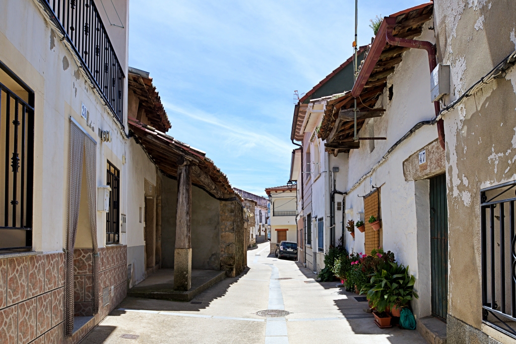 Jarilla
