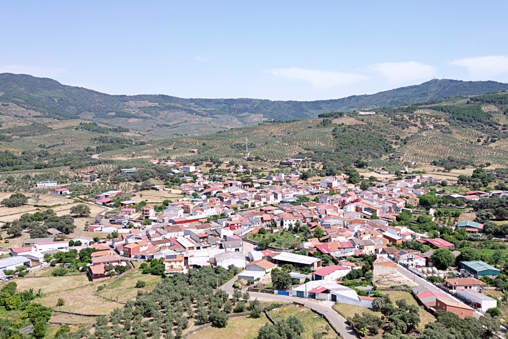 Palomero