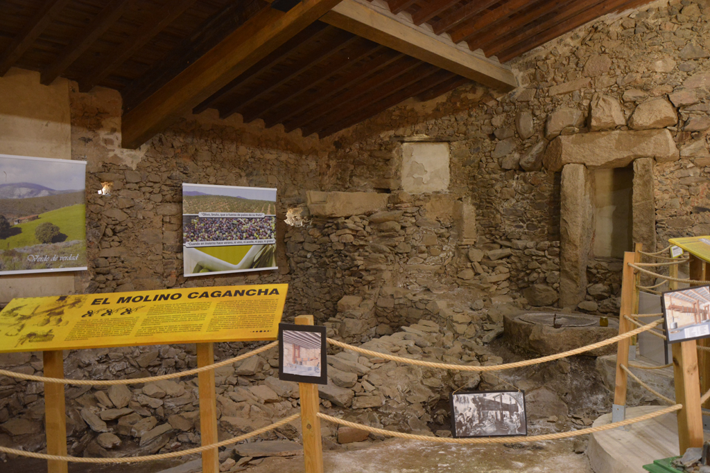 Centro de Interpretación del Aceite y el Vino