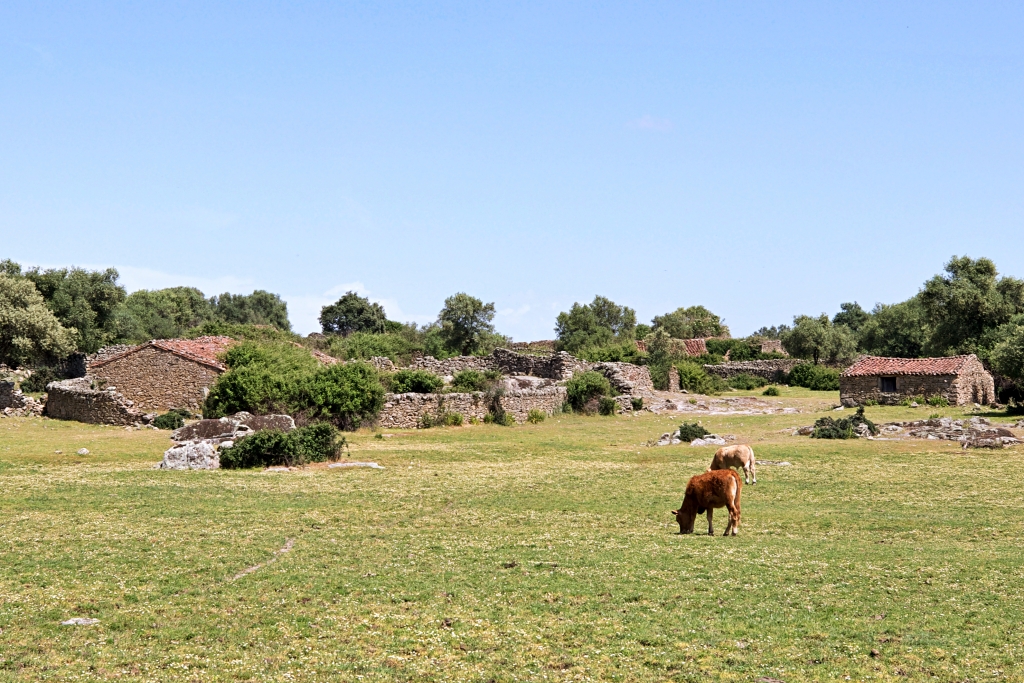 Los Pajares (Santibáñez el Alto)