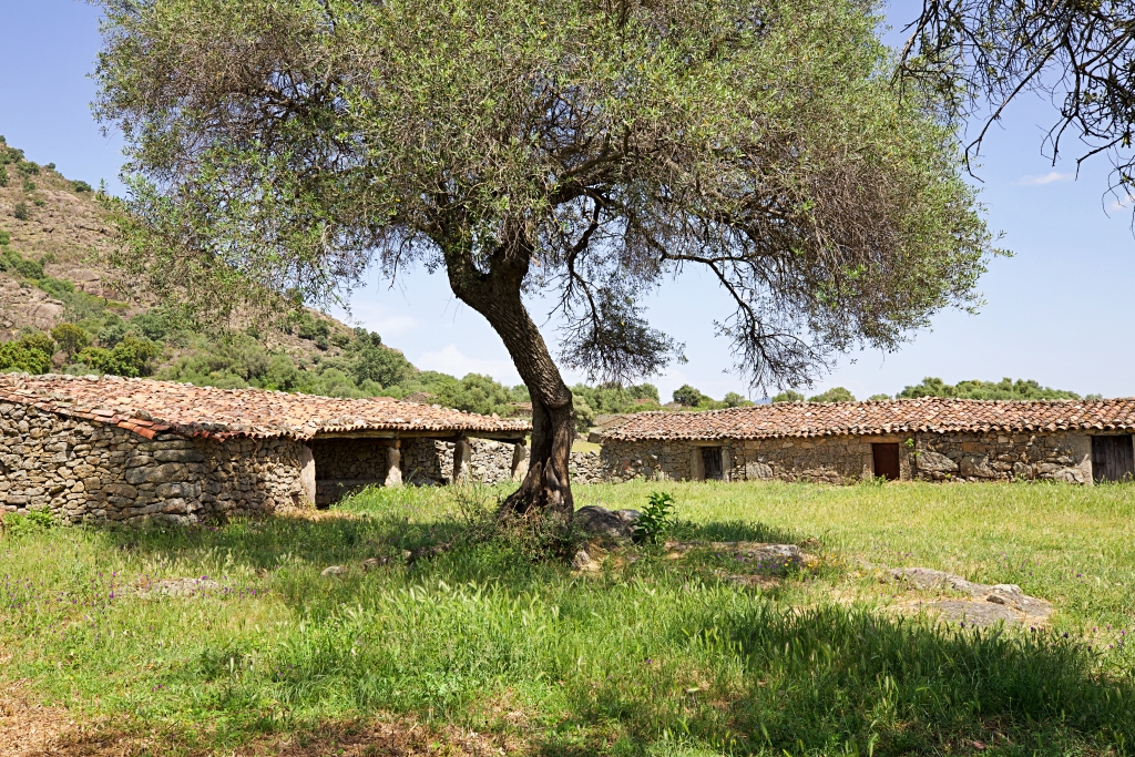 Los Pajares (Santibáñez el Alto)