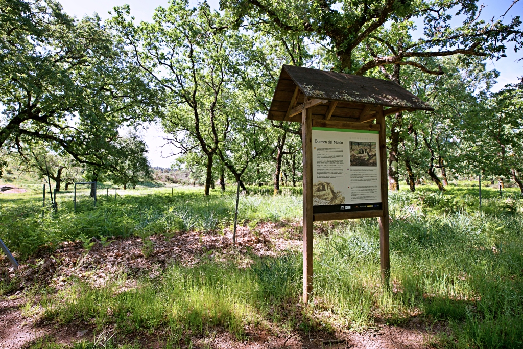 Dolmen Del Matón