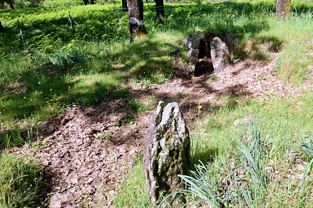 Dolmen Del Matón (Hernán-Pérez)