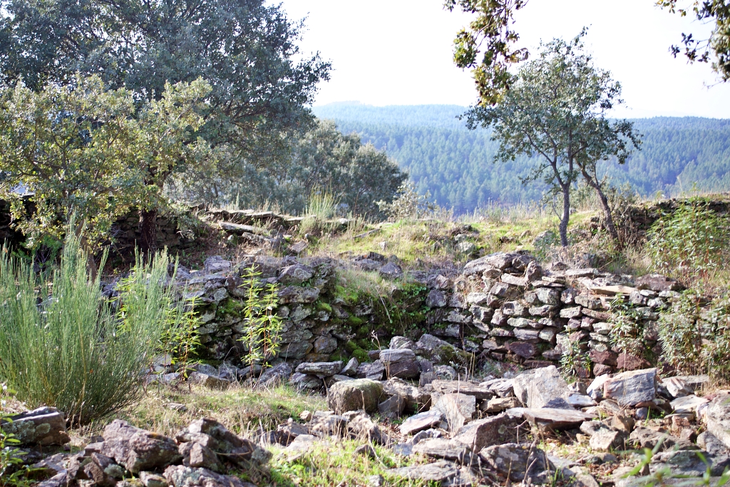 Fortaleza de Salvaleón (Valverde del Fresno)