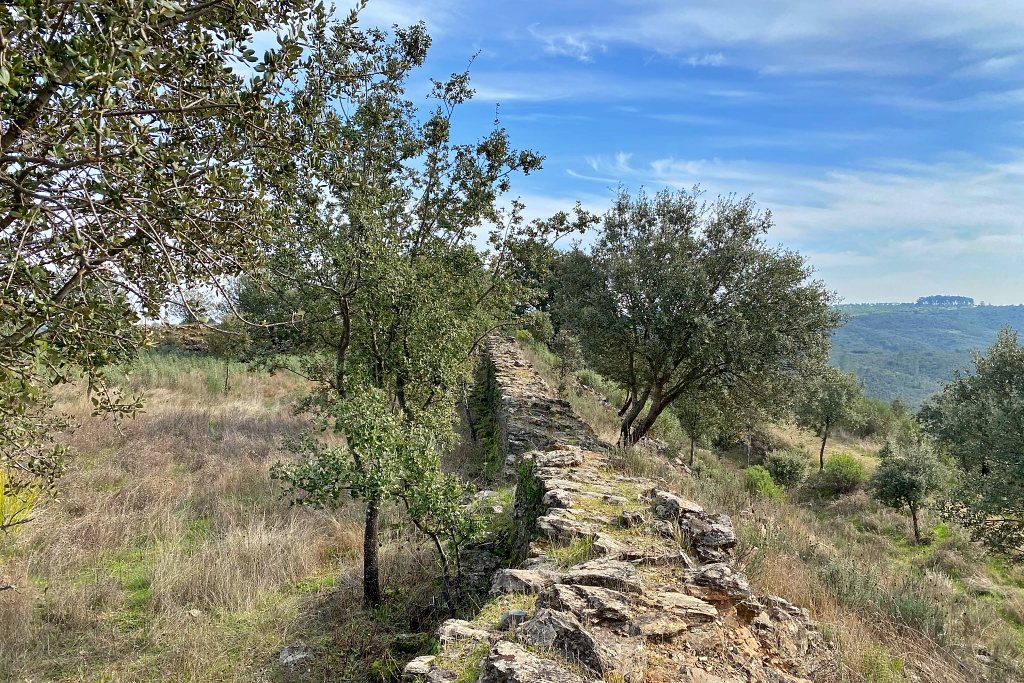 Fortaleza de Salvaleón (Valverde del Fresno)