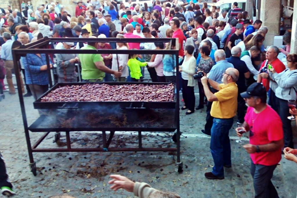 As Borrallas (Eljas)