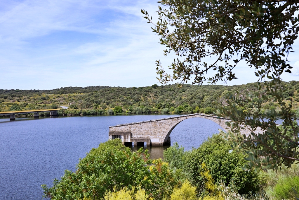 El Pontón