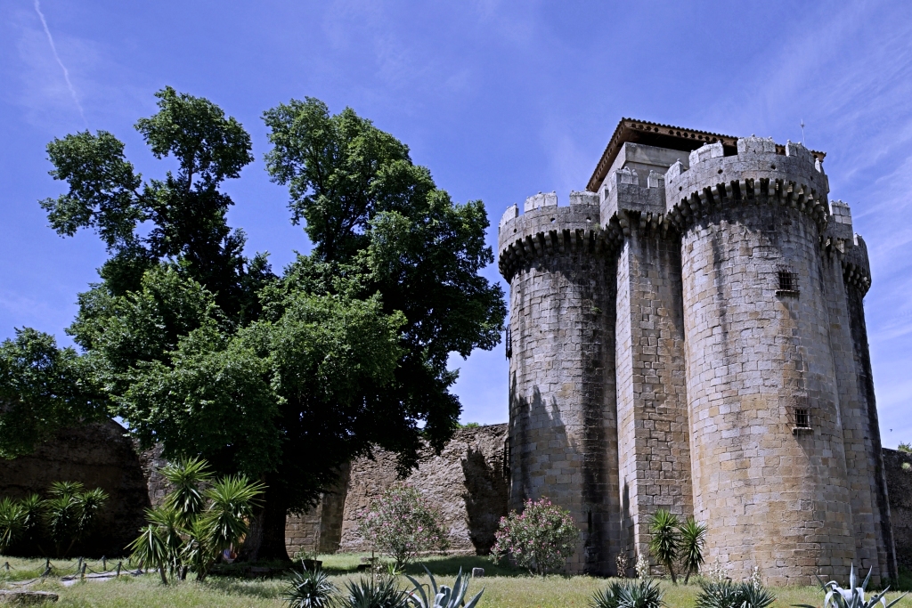 El Olmo de Granadilla