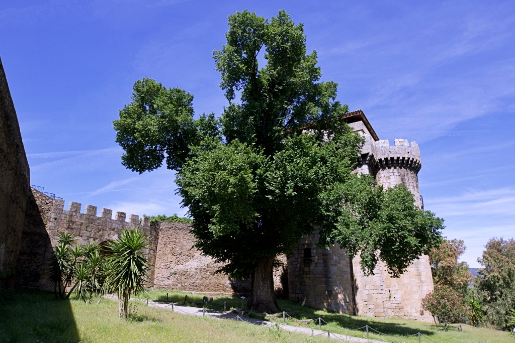 El Olmo de Granadilla