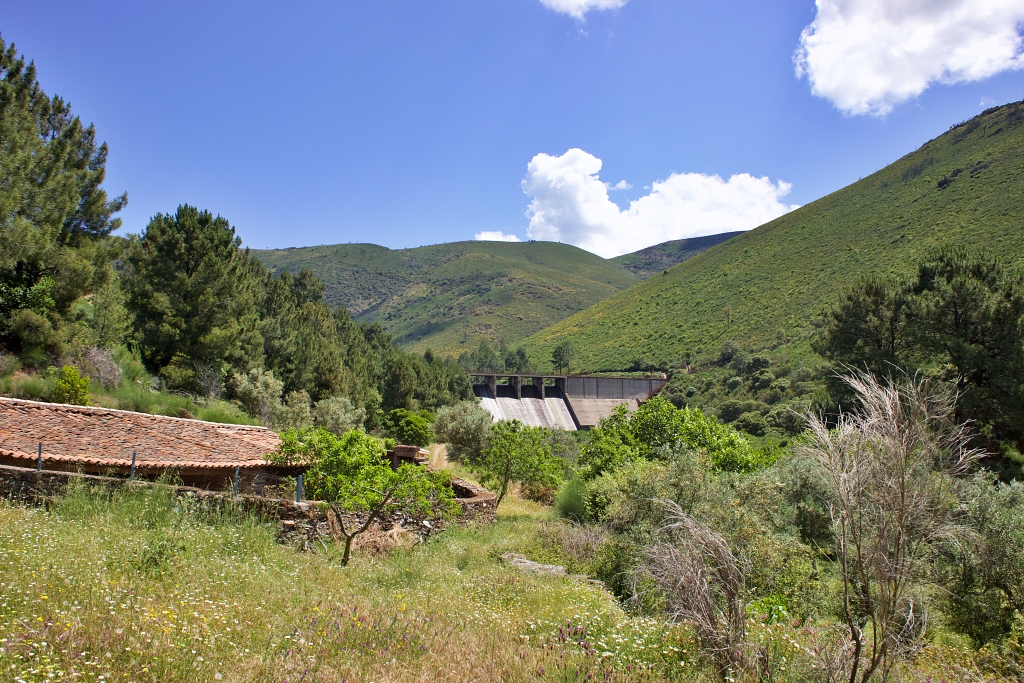 Vista