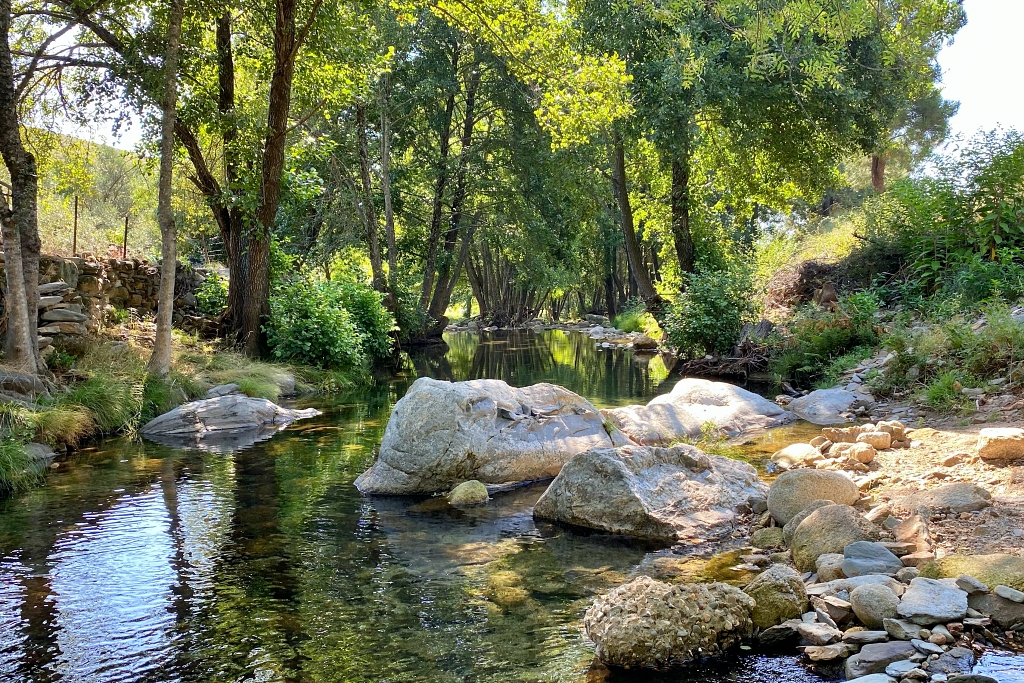 Vista