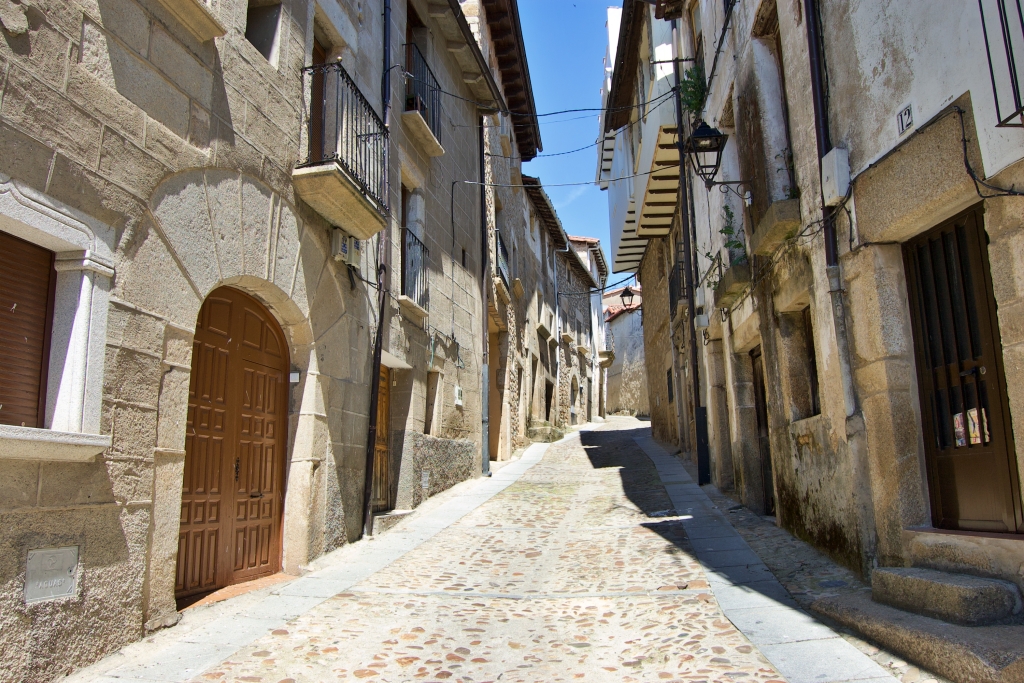 Vista