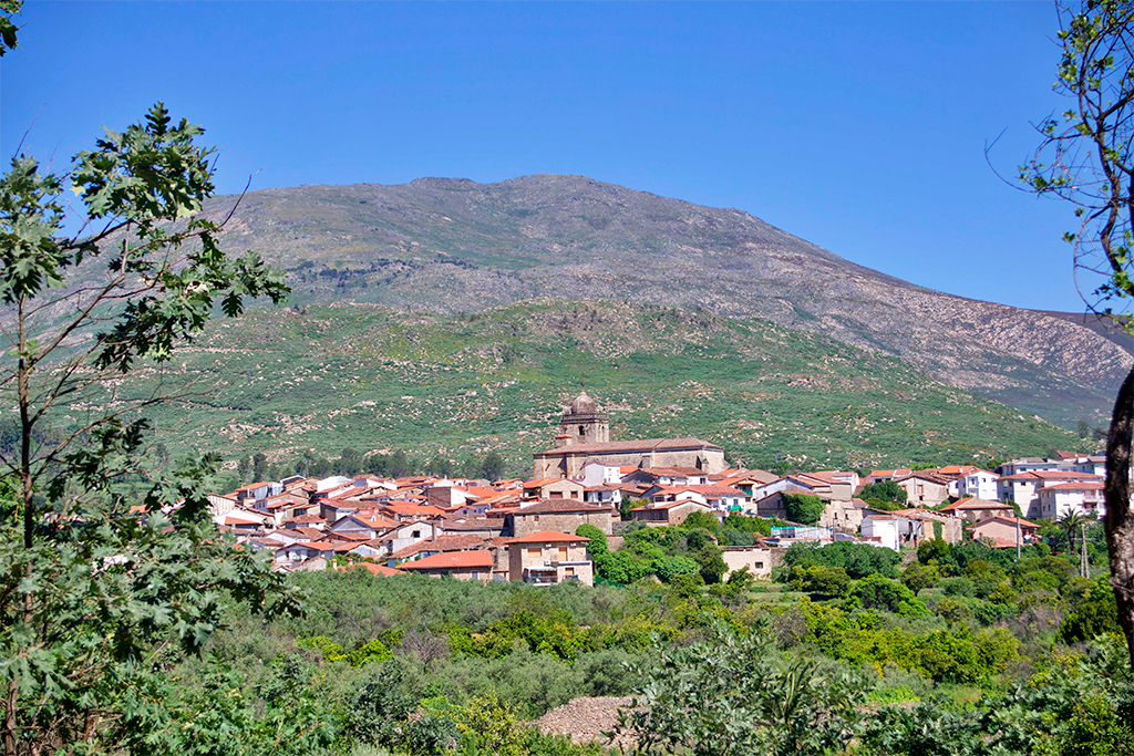 Vista