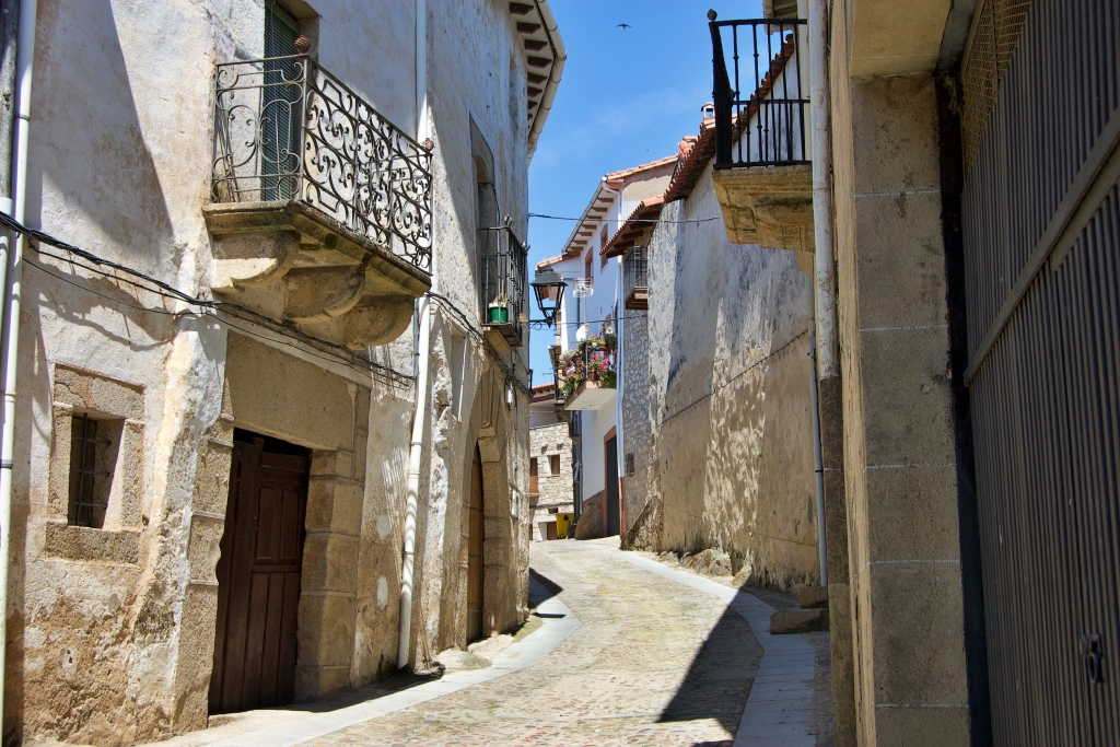 Vista