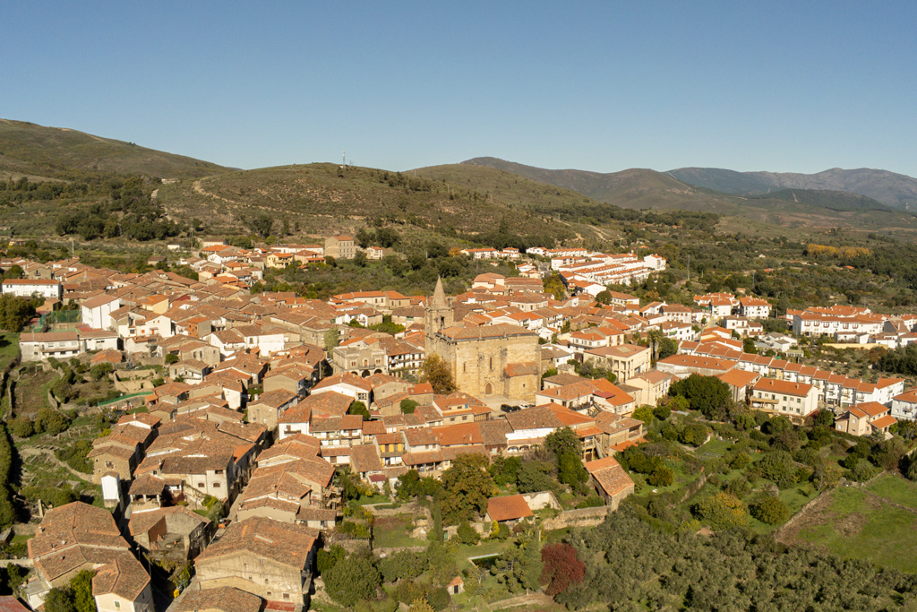 Vista