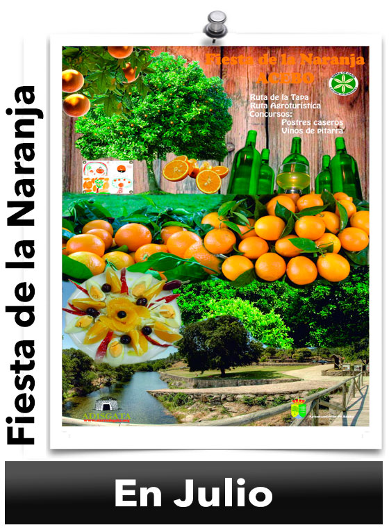 Fiesta de la Naranja de Acebo