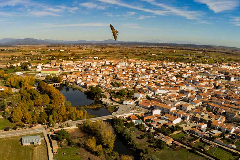Moraleja