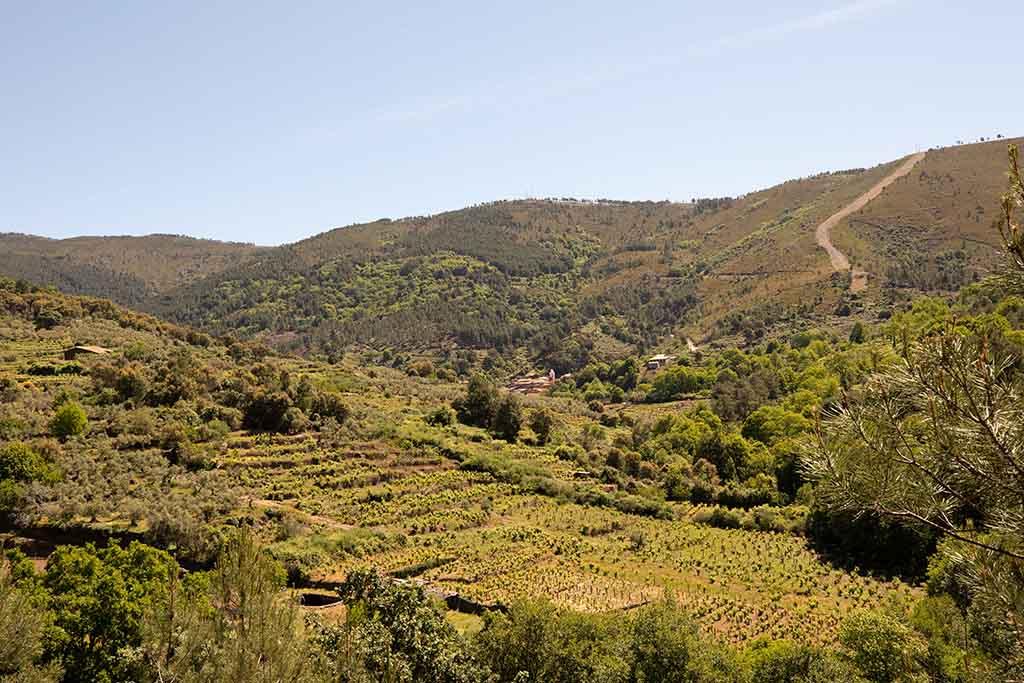 Sendero de los Valles