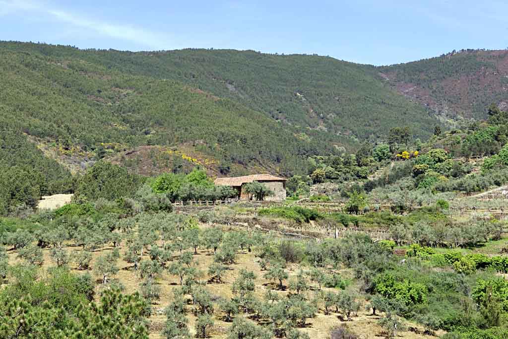 Ermita de San Miguel