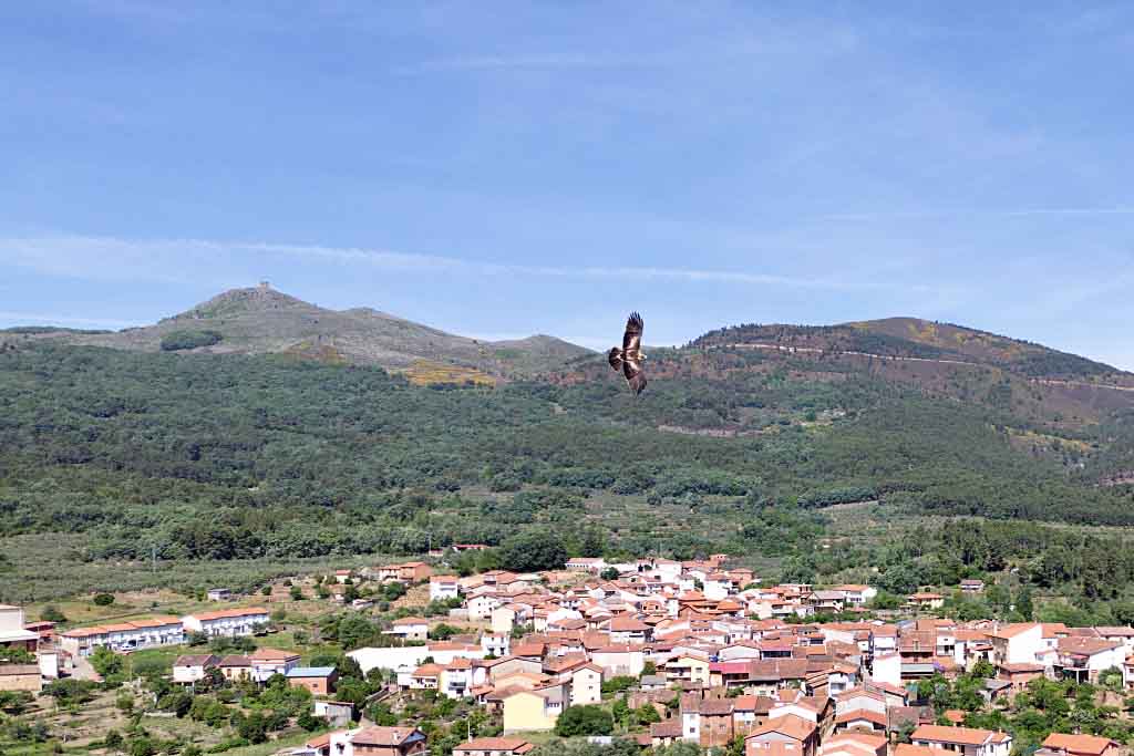 Sendero de Aroche