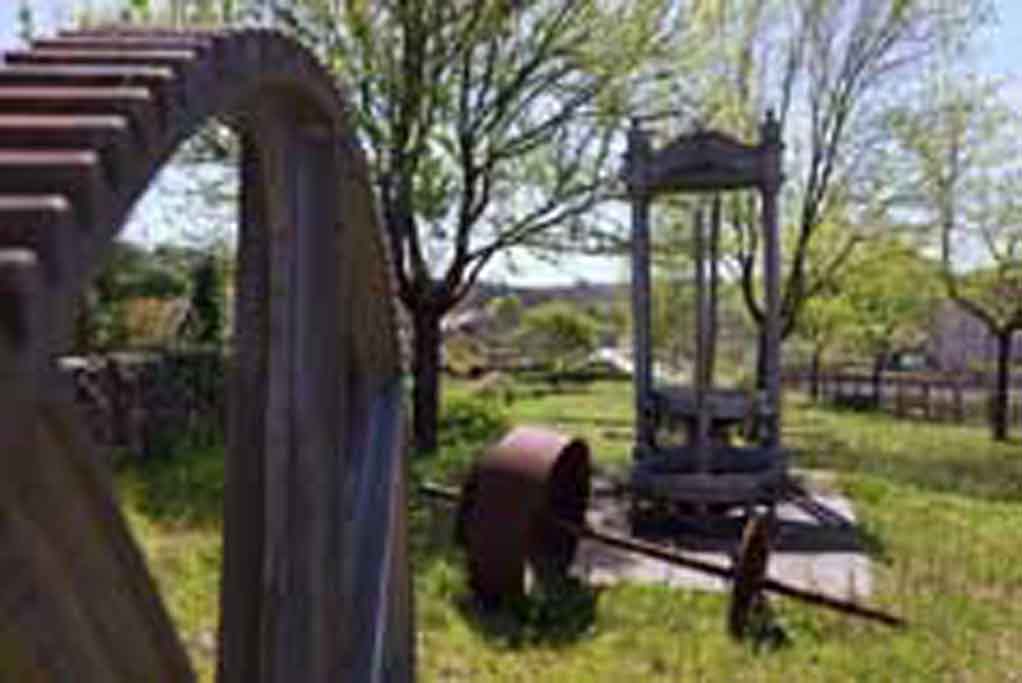 Monumento al Aceite