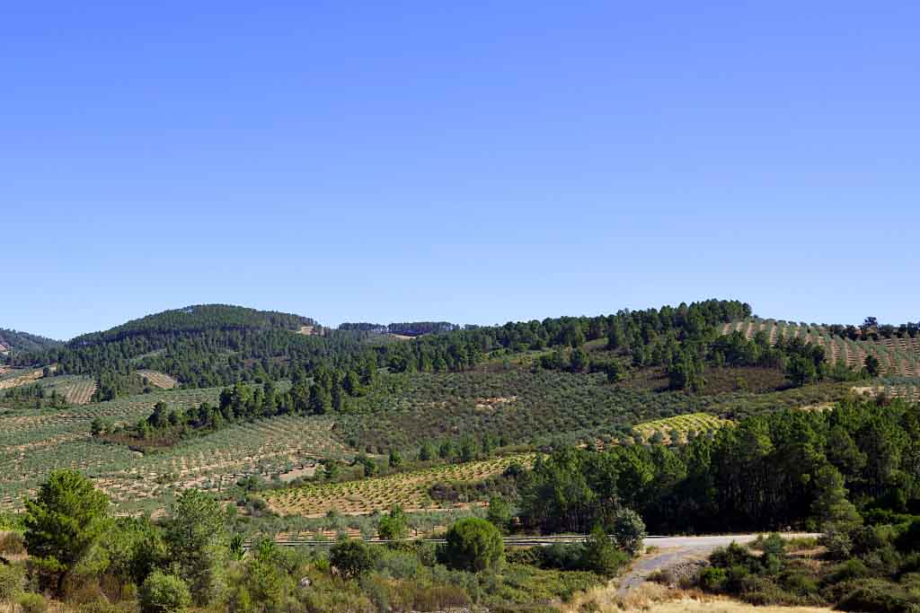 Sierra del Pinche