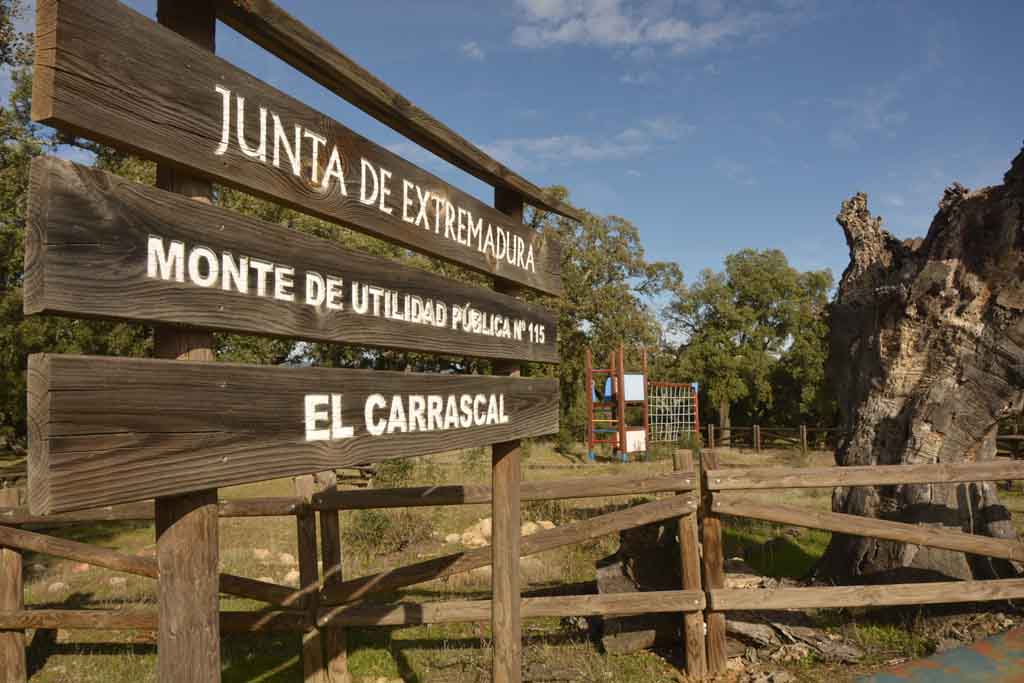 Dehesa del Carrascal