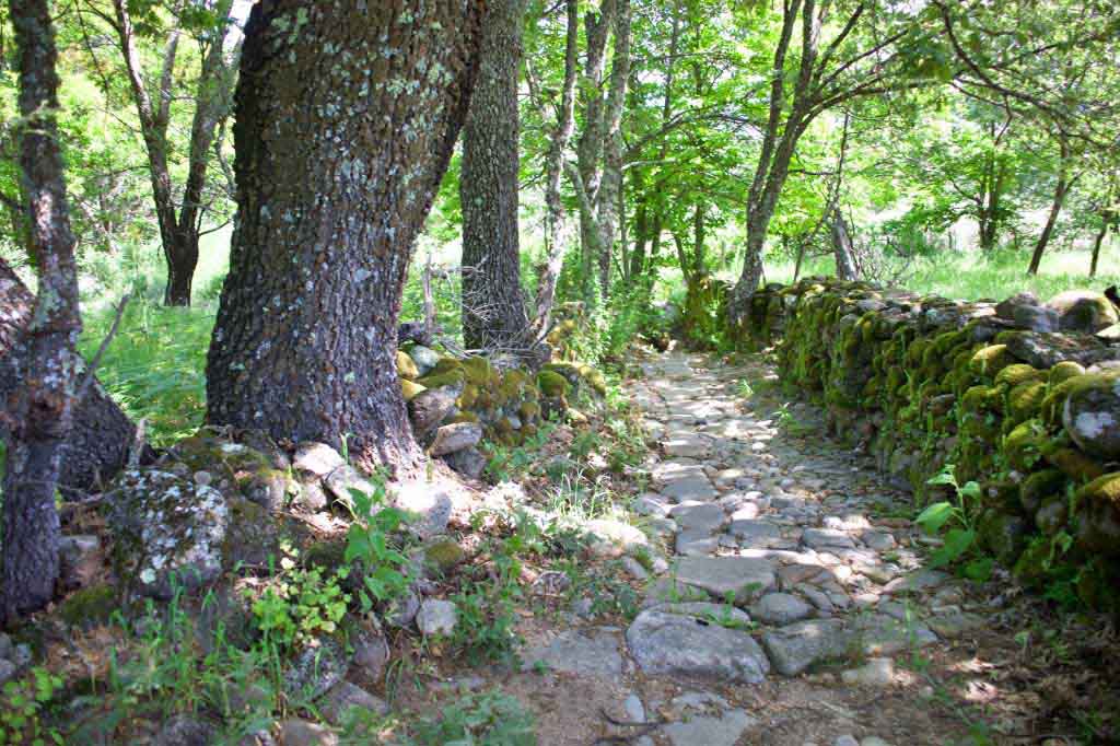 Sendero de Lágina
