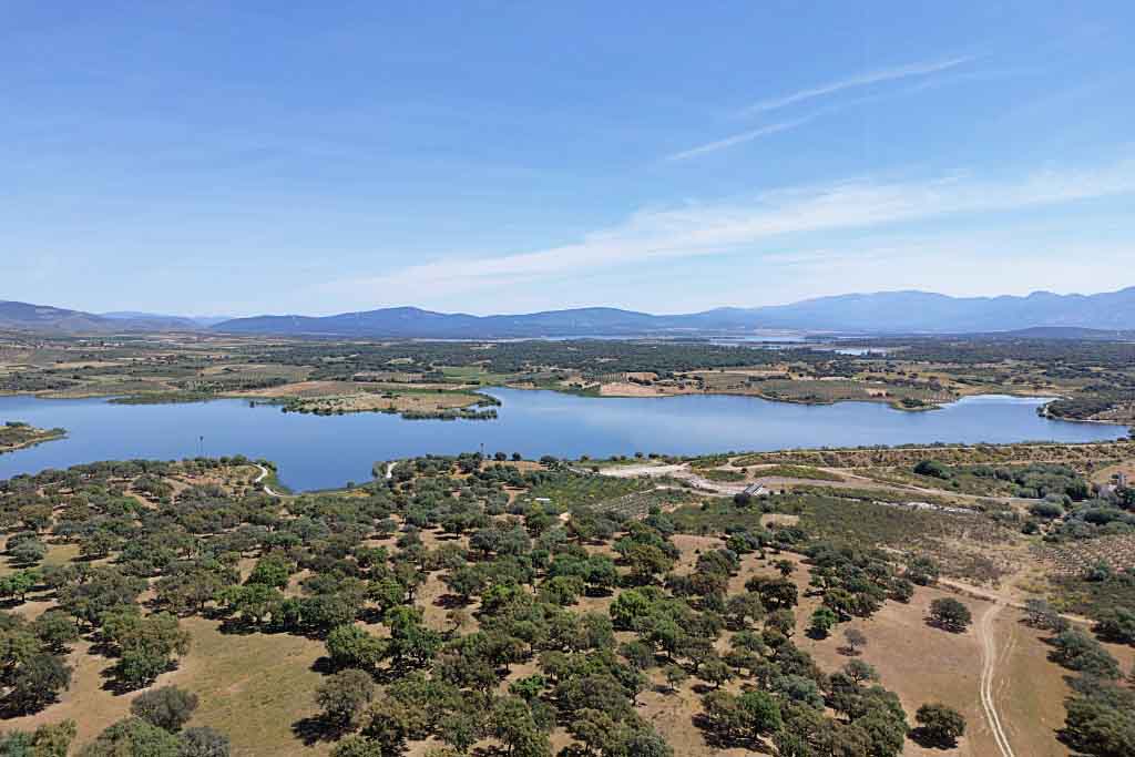 Olivos, dehesa y agua