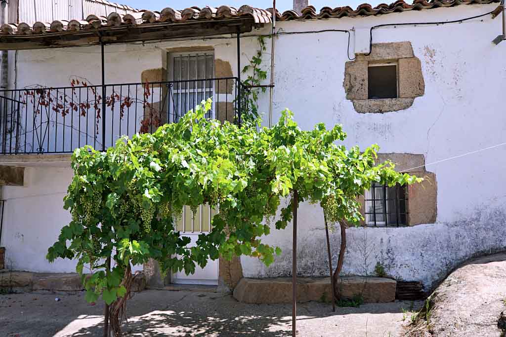 Los Parrales