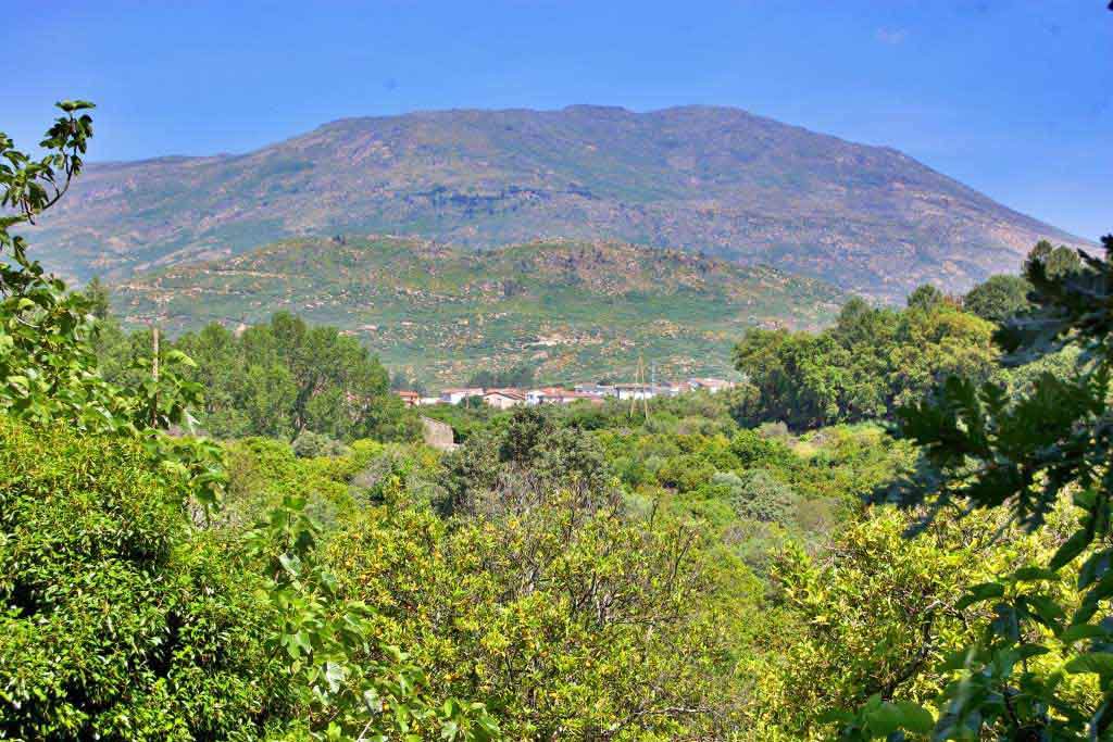 Sendero de los Naranjos