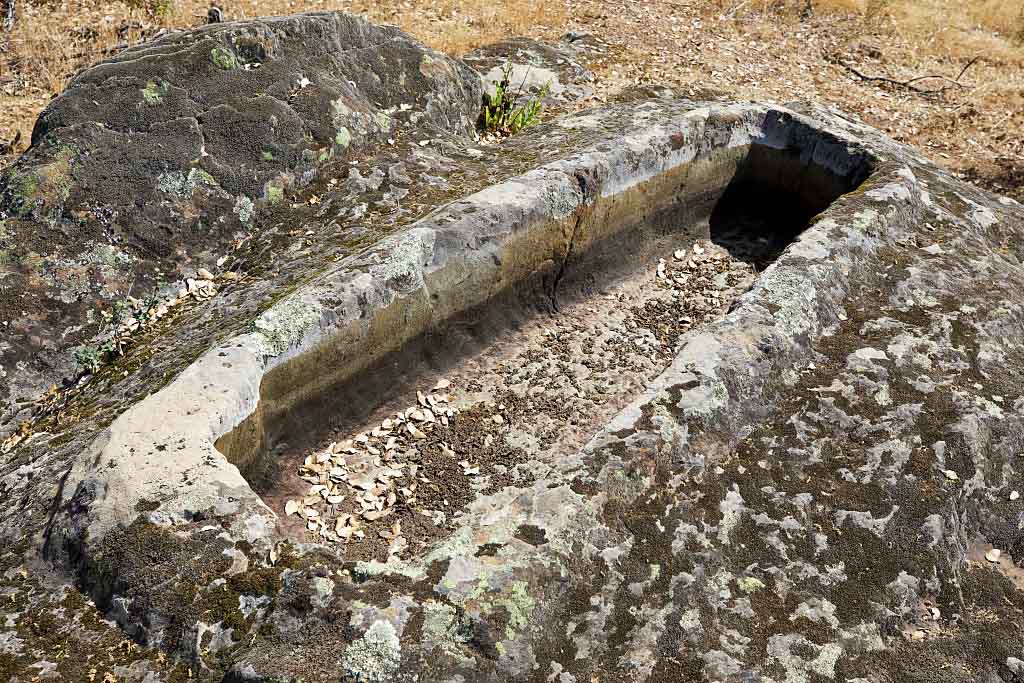 Tumba Antropomorfa la Cortesiña I

