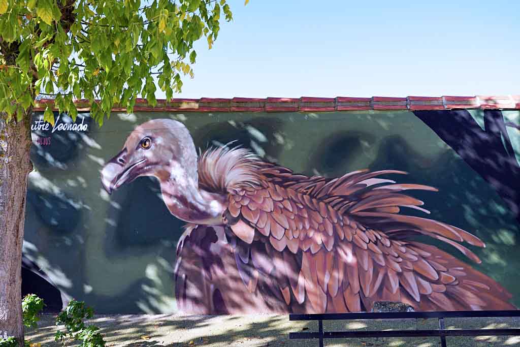 Mural Especies Singulares