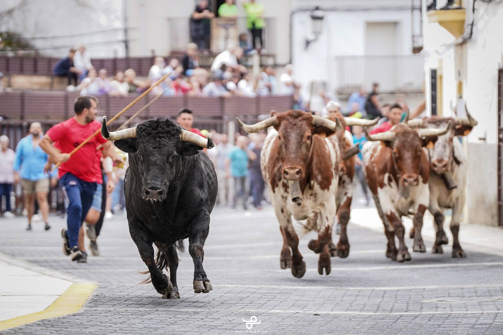 Los Toros